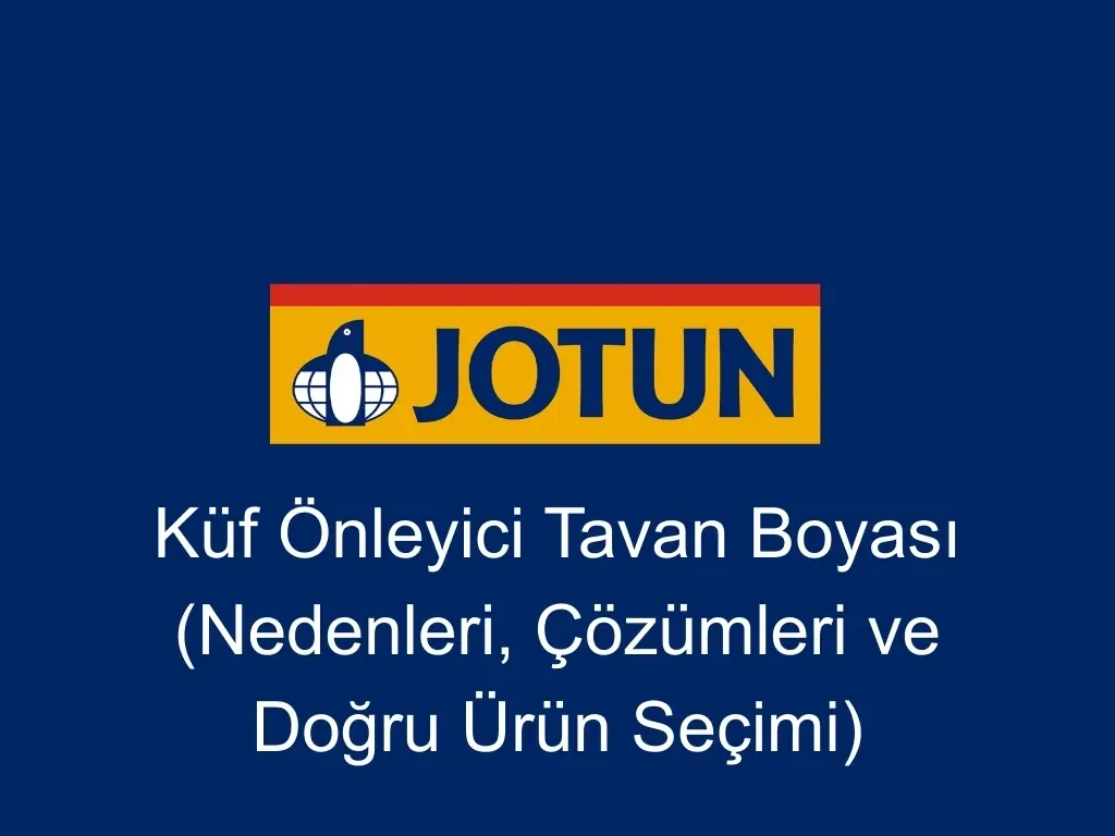 Küf Önleyici Tavan Boyası (Nedenleri, Çözümleri ve Doğru Ürün Seçimi)